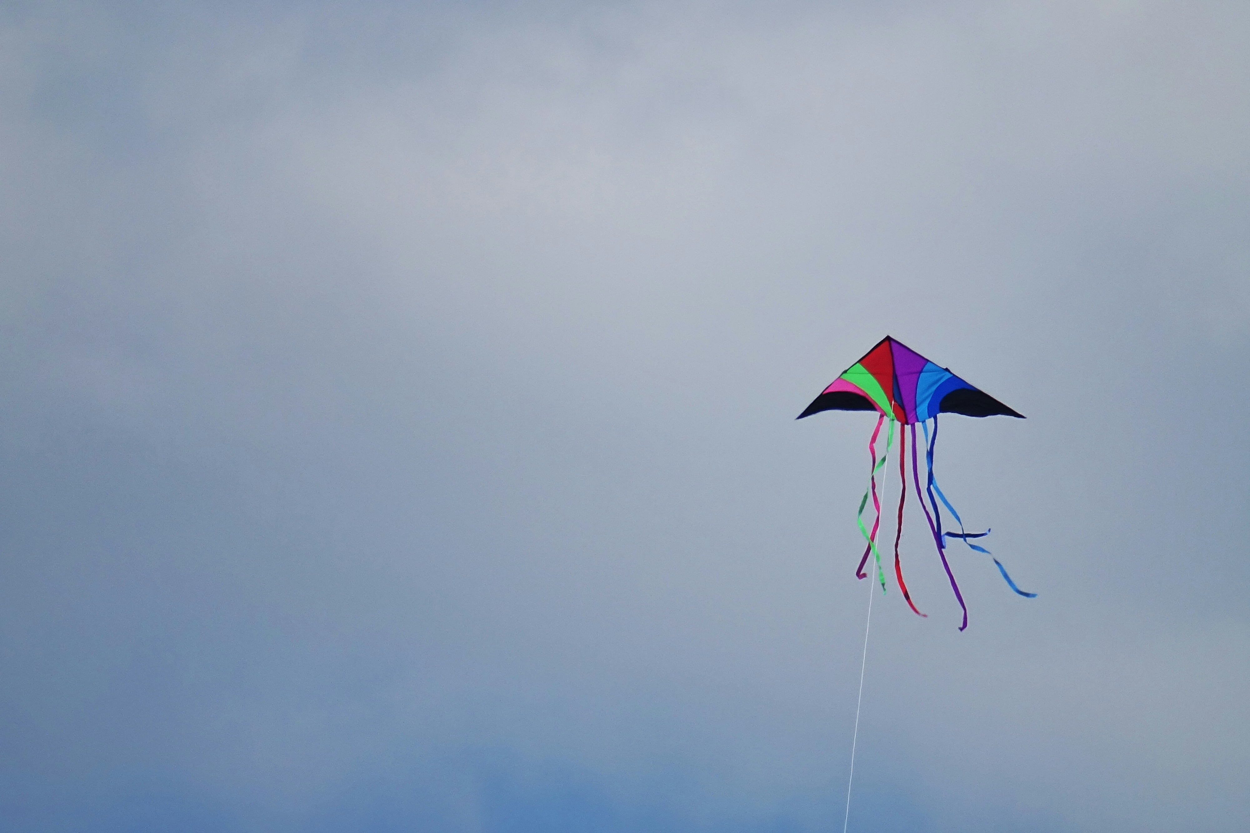 billede-af-en-drage-i-himlen